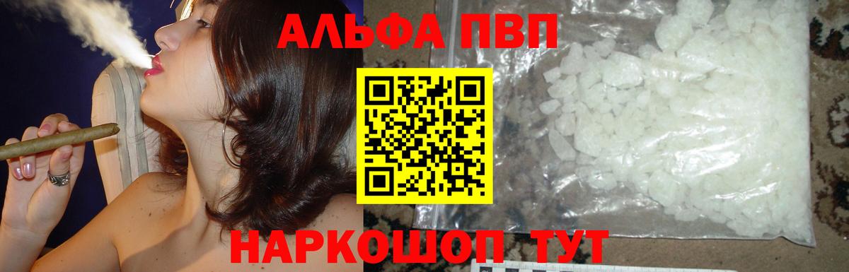 Аргун  Альфа ПВП СК КРИС  хочу   Альфа ПВП СК  Вход с VPN  Альфа ПВП 