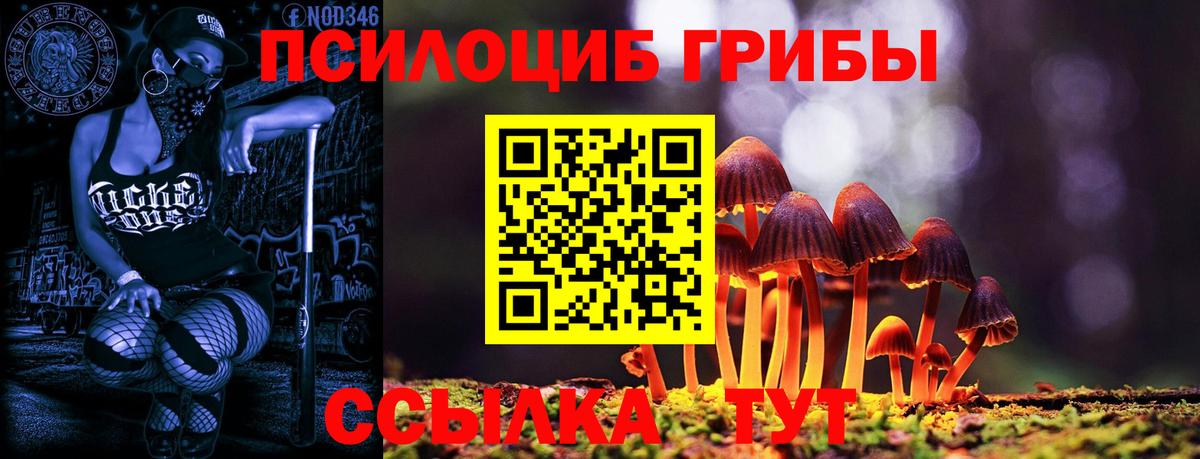 Аргун  Псилоцибиновые грибы мухоморы  купить наркотики сайты  Вход с VPN 
